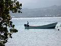 2003-04 martinique 143